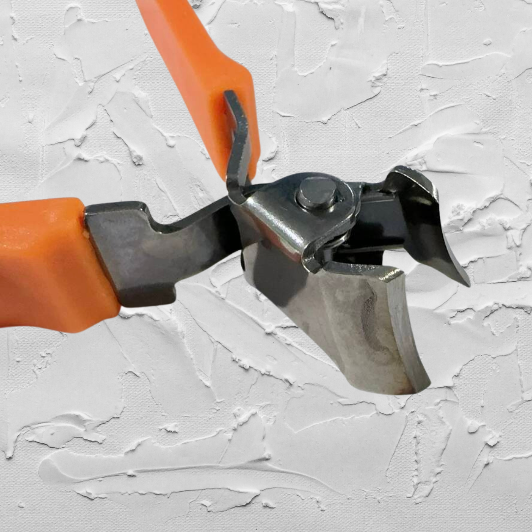 TidyNails – Precise treatment for ingrown nails with every trim