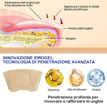 FungoStop – Repair and renew healthy nails while you sleep!